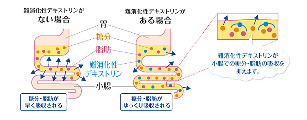 賢者の食卓　作用メカニズム